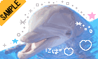 �ɂρ��Ί�ȃC���J����
