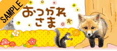 �����ꂳ��